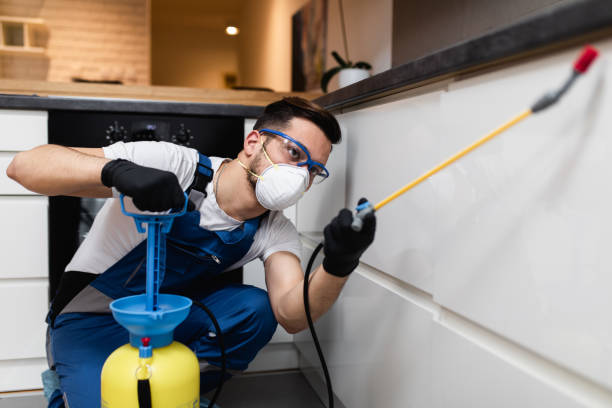 Best Affordable Pest Control Services  in Hagerstown, MD