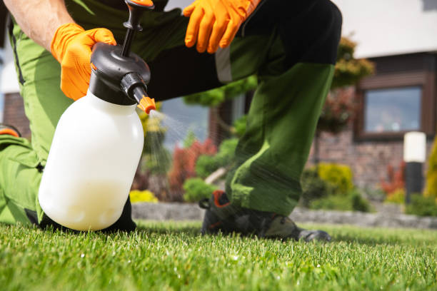 Best Residential Pest Control  in Hagerstown, MD