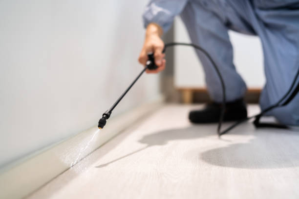 Pest Control Cost in Hagerstown, MD