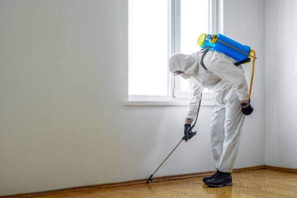 Wildlife Control Services in Hagerstown, MD