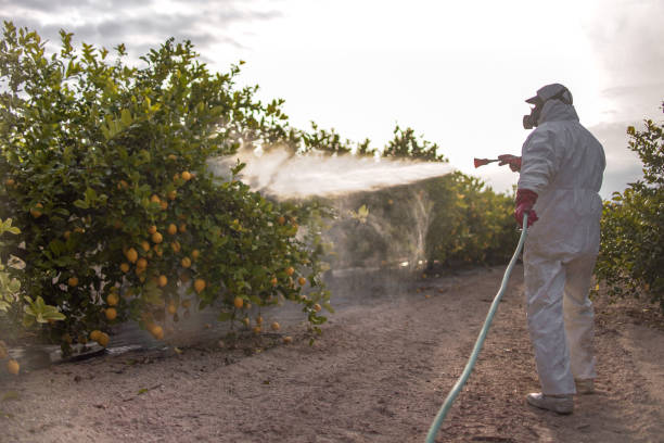 Best Local Pest Control Services  in Hagerstown, MD