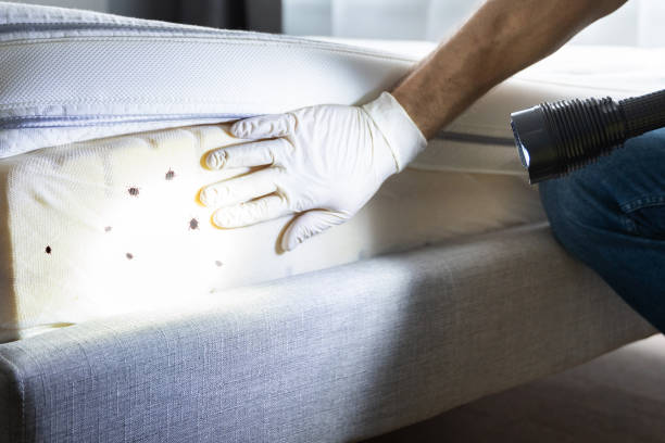 Pest Prevention Services in Hagerstown, MD