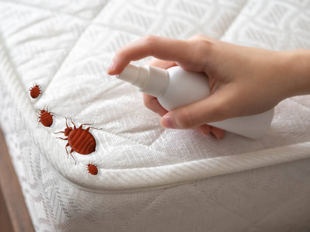 Best Pest Control Near Me in Hagerstown, MD