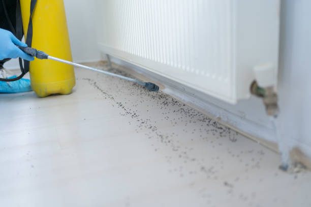 Best Wildlife Control Services  in Hagerstown, MD
