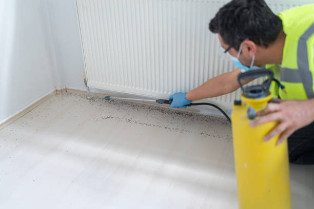 Best Pest Control Treatment  in Hagerstown, MD