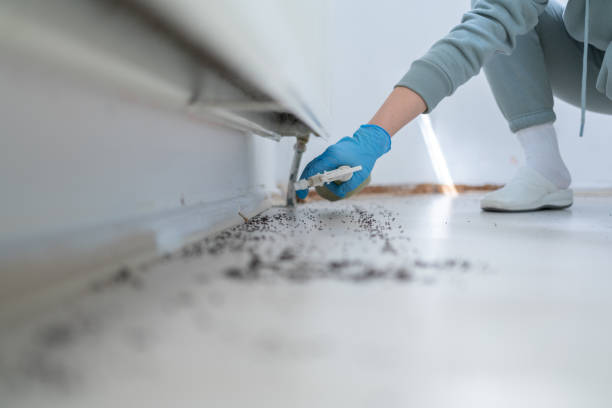 Best Pest Control Near Me in Hagerstown, MD