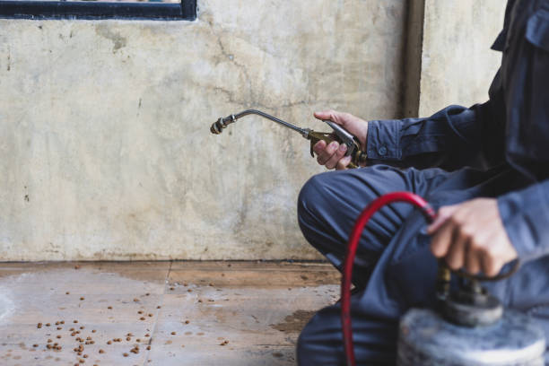 Best Emergency Pest Control  in Hagerstown, MD