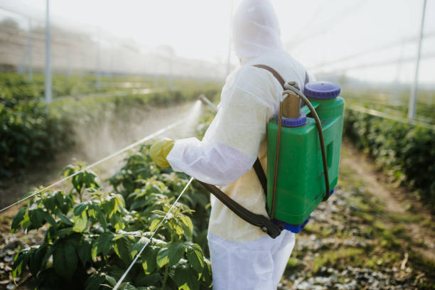 Best Mosquito Control Services  in Hagerstown, MD
